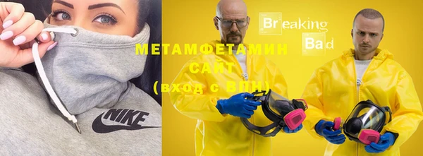 индика Вязники