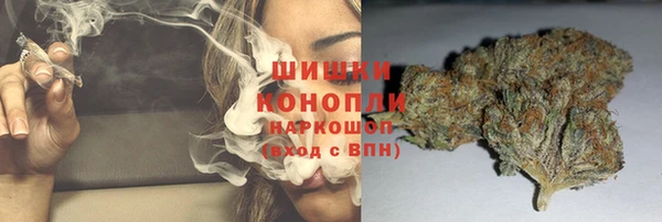 mdpv Вяземский