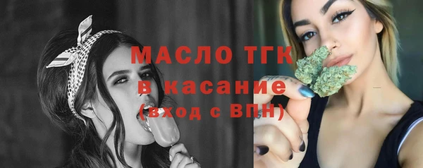 индика Вязники