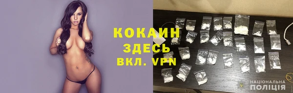 индика Вязники