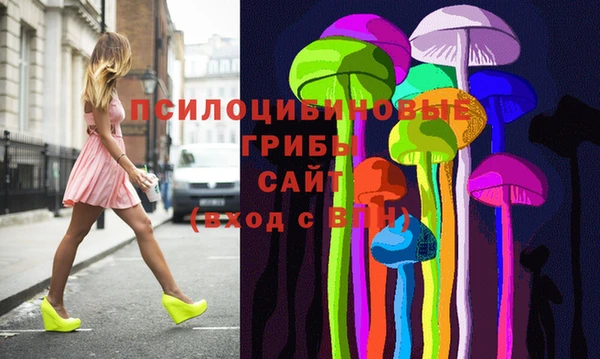 mdpv Вяземский