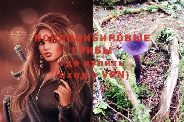 индика Вязники