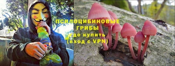 индика Вязники