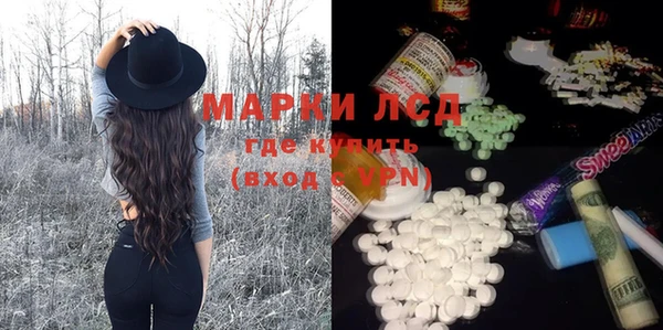 индика Вязники