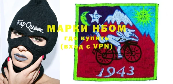 индика Вязники