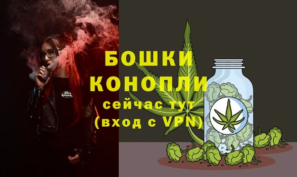 индика Вязники