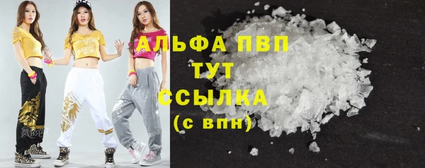 индика Вязники