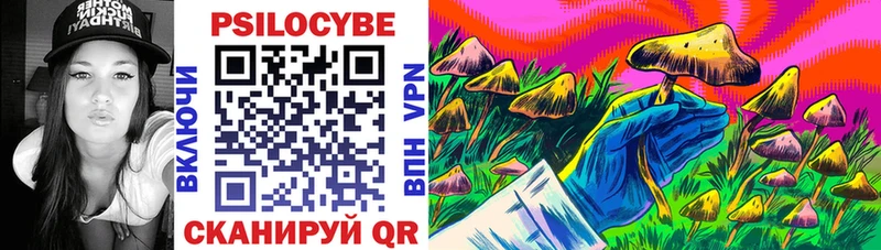 как найти закладки  Брянск  Псилоцибиновые грибы Cubensis 