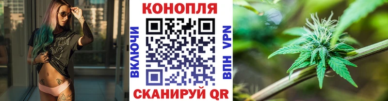 как найти наркотики  Брянск  Канабис SATIVA & INDICA 